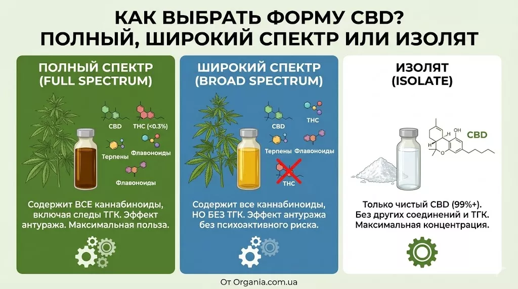 CBD/КБД (каннабидиол) — это один из нескольких каннабиноидов